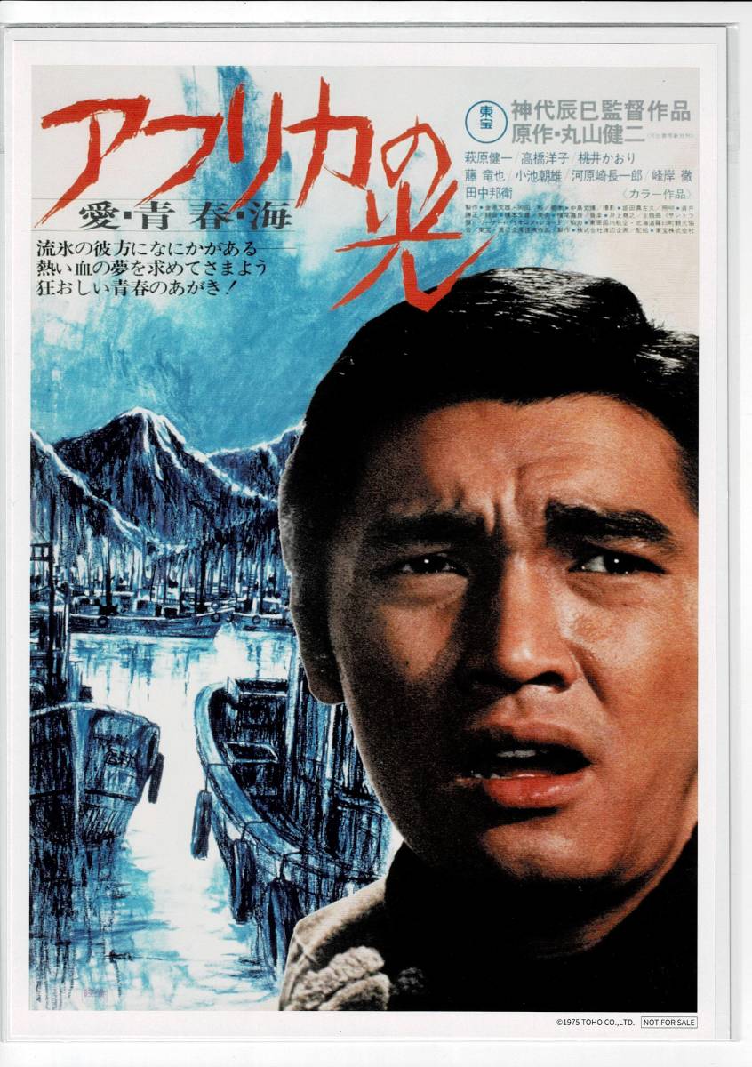 アフリカの光 /Amazon限定オリジナルミニポスター付/萩原健一/神代辰巳
