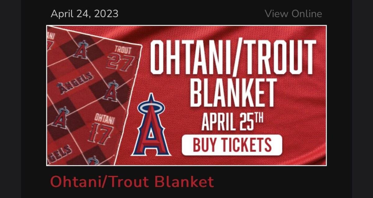 【即日配送】大谷翔平 トラウト ブランケット MLB エンゼルス