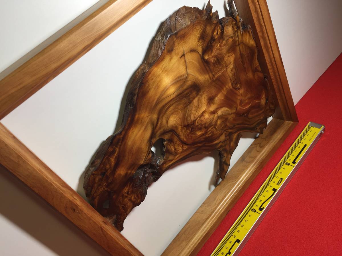 15 壁飾り 自然の造形美 銘木屋久杉工芸品 インテリア家具 世界遺産