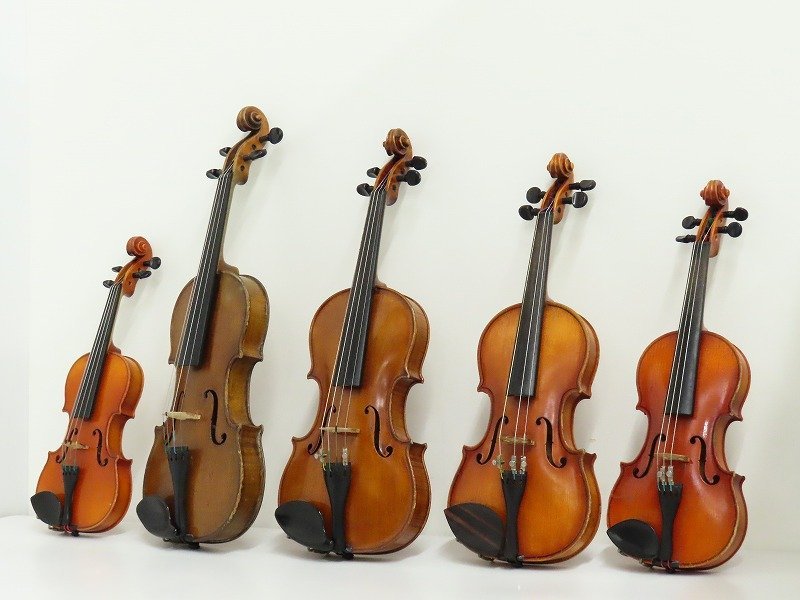SUZUKI VIOLIN (鈴木バイオリン) バイオリン No.280 サイズ 1/2 Anno