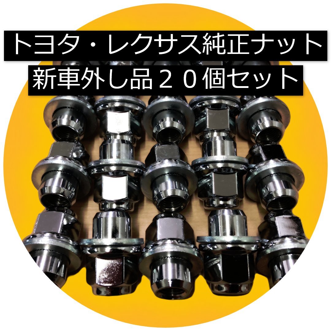 hana@48時間以内に発送 パキポディウム グラキリス Pachypodium gracilius 塊根植物