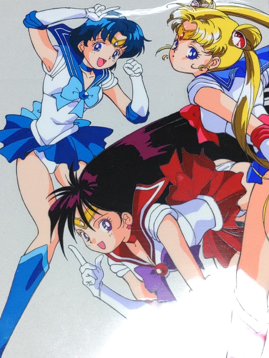 大判版権セル画 アニメセル画 セーラームーン SR-50(あ行)｜売買された