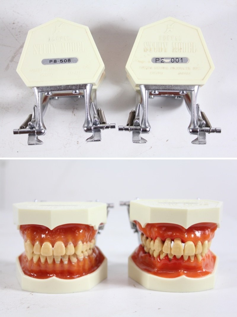 Nissin 歯列 模型 NISSIN DENTAL PRODUCTS P8D-508 P2-001 P1-600A P1