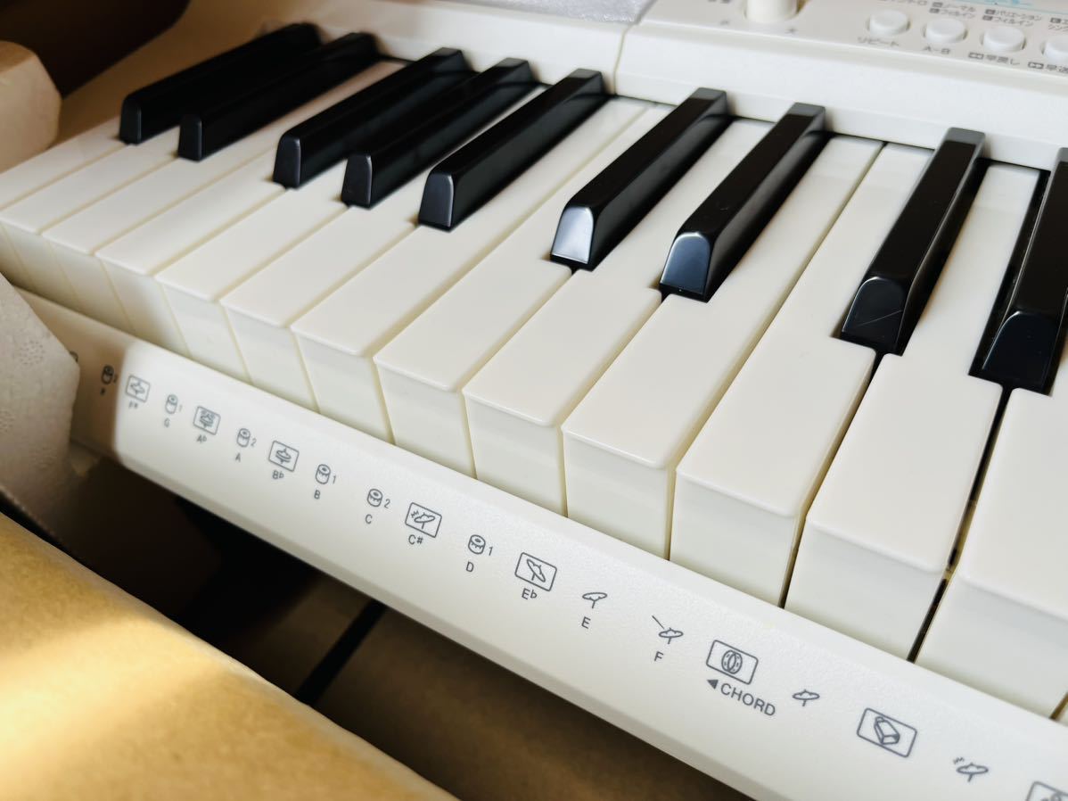 未使用同様 Lk-516 CASIO カシオ 光ナビゲーション・キーボード 電子