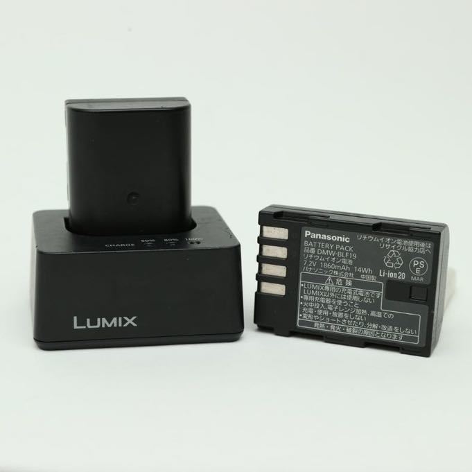 パナソニック バッテリーパック「DMW-BLF19」 DMW-BLF19 返品種別A