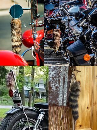 アライグマ しっぽ 尻尾 シッポ キーホルダー ラクーン テール eの入札