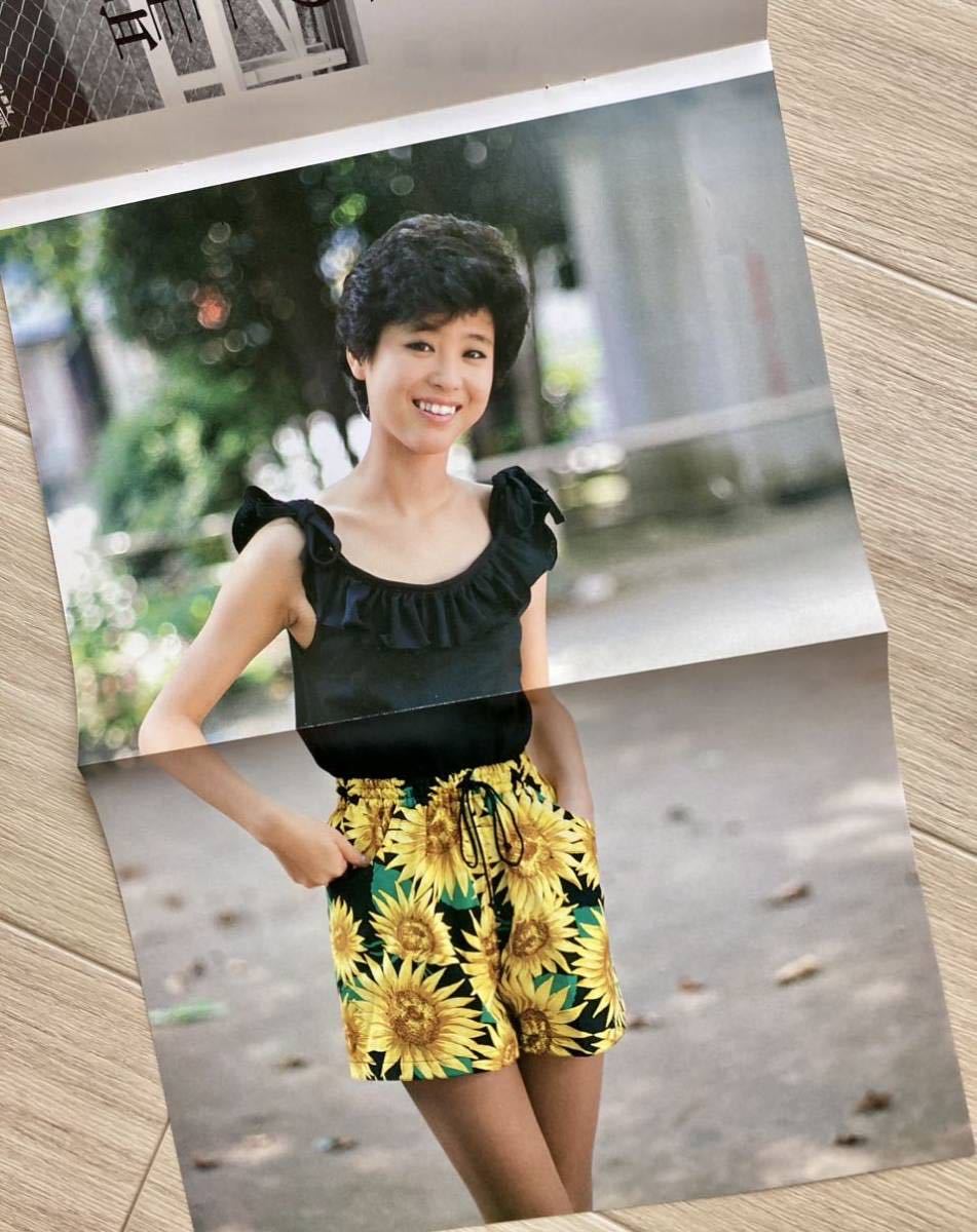 松田聖子 パンフレット 聖子フェスティバル 梅田コマ劇場 1982年 レア 松田聖子コンサートパンフレット 聖子フェスティバル 1982年梅田コマ