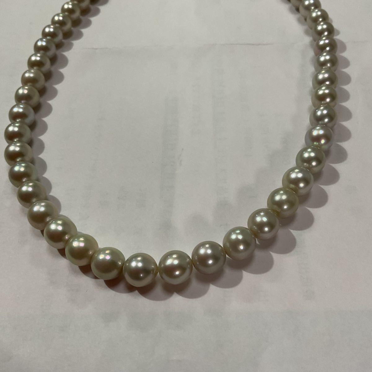 あこや真珠 8.0-8.5mm グレー パールネックレス 一粒 グレーあこや真珠 