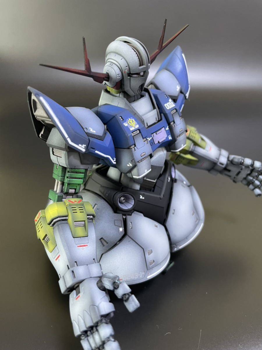 ジオング RG 全塗装 完成品 MG 1⁄100 ジオング (RGの拡大) 全塗装完成