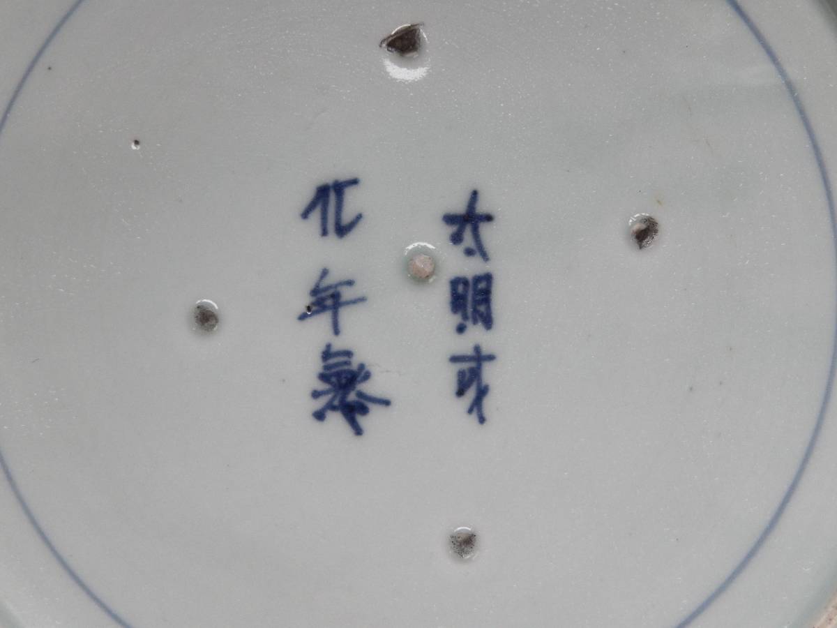 骨董 大皿 染付 古伊万里 36cm 古伊万里太明成化年製 - 蛸唐草 江戸期