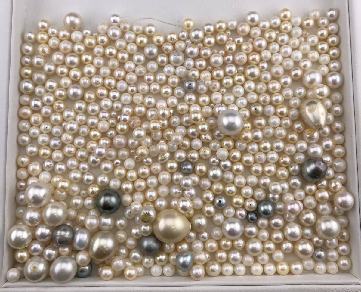 人気定番，定番人気 【おまとめ】パール ルース 1350ct (アコヤ 南洋