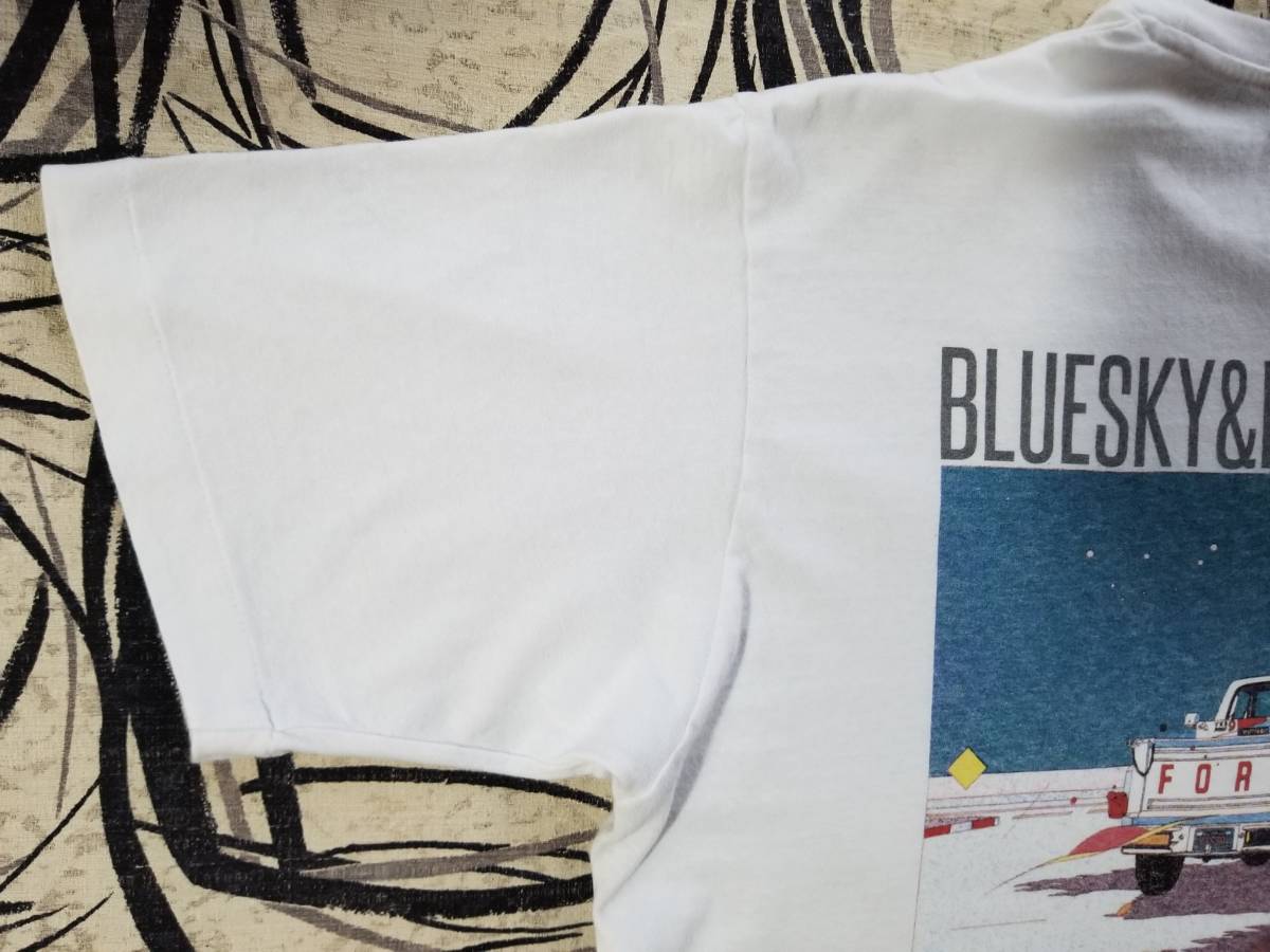 グラフィック イラスト アート EIZIN SUZUKI 鈴木英人 BLUESKY&PICKUP 