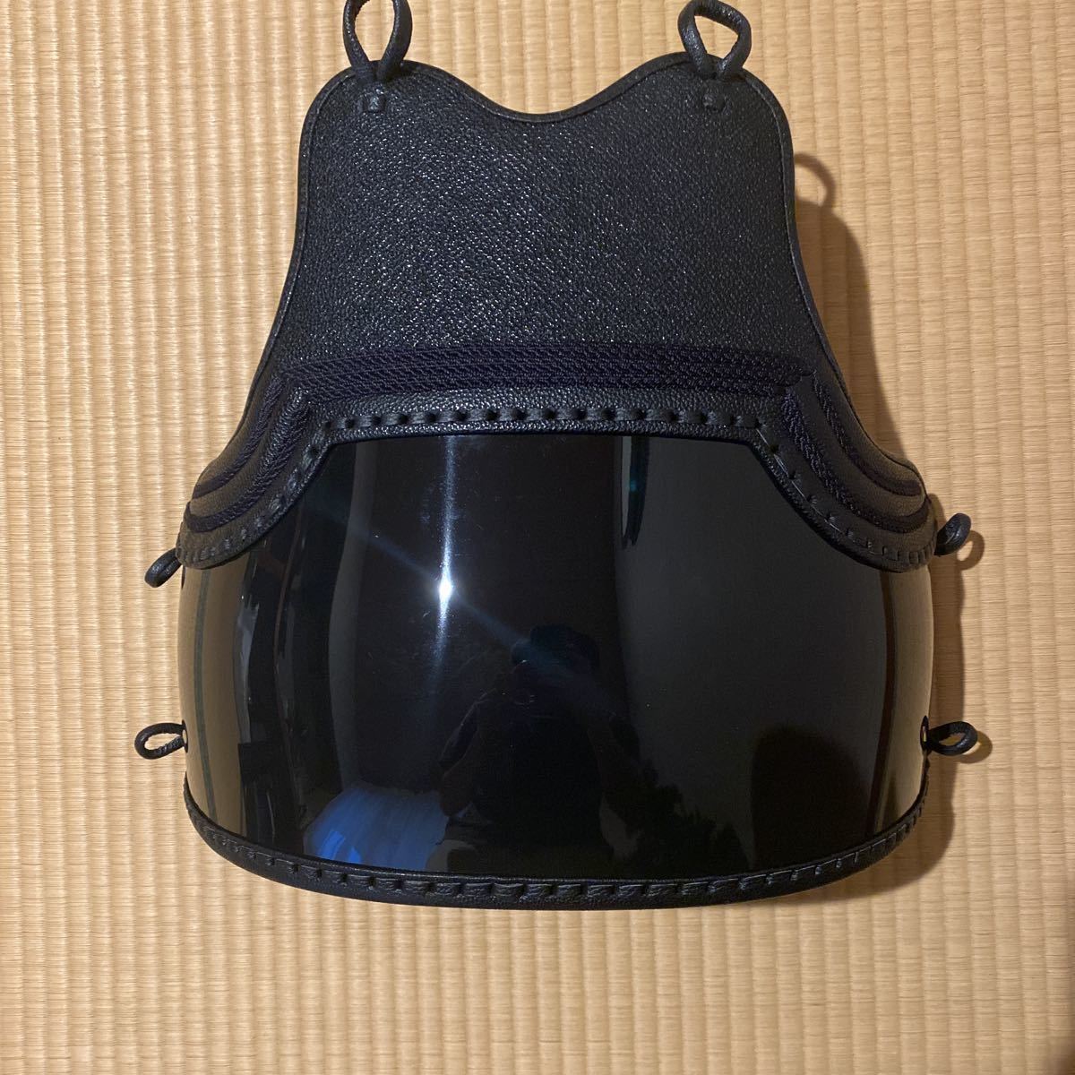 剣道防具 胴 総刺 黒塗 一般男性サイズ 未使用 新品 50本型 二本胸足 