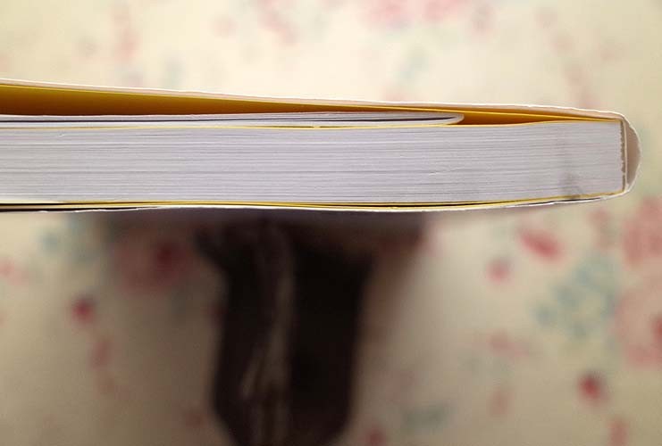 破天荒な写真集 篠山紀信 篠山紀信写真集 Fifteen's Kishin Gekisha Pictorial Fantasy / 篠山