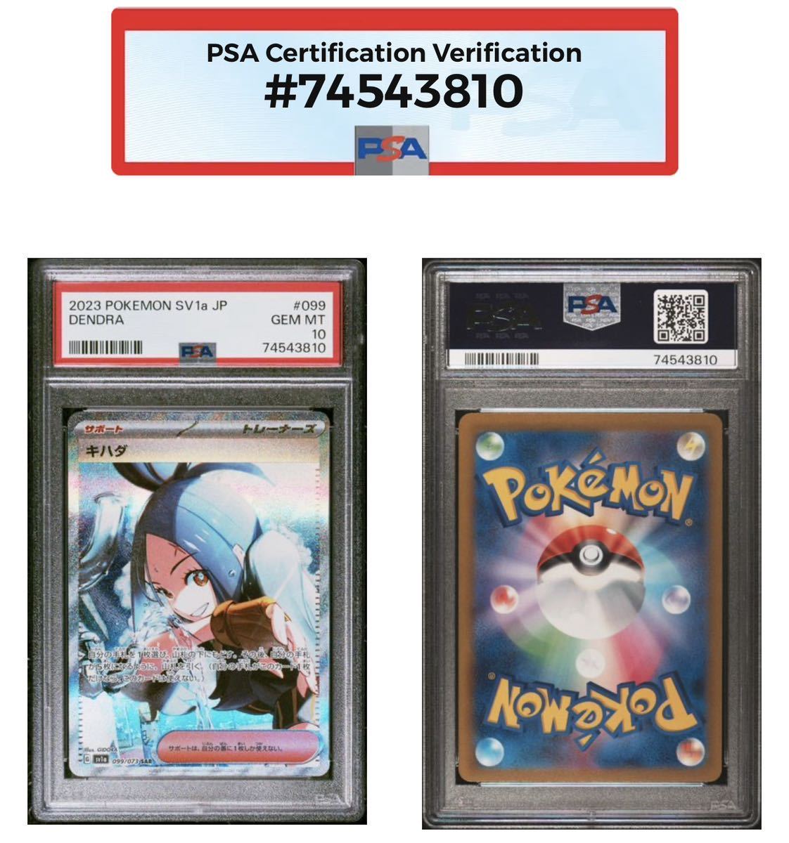 ポケモンカード キハダ SAR PSA10