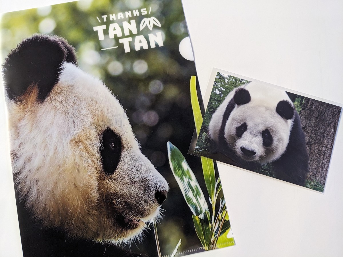 大得価，高品質 タンタン クリアファイル ポストカード 王子動物園 パンダ