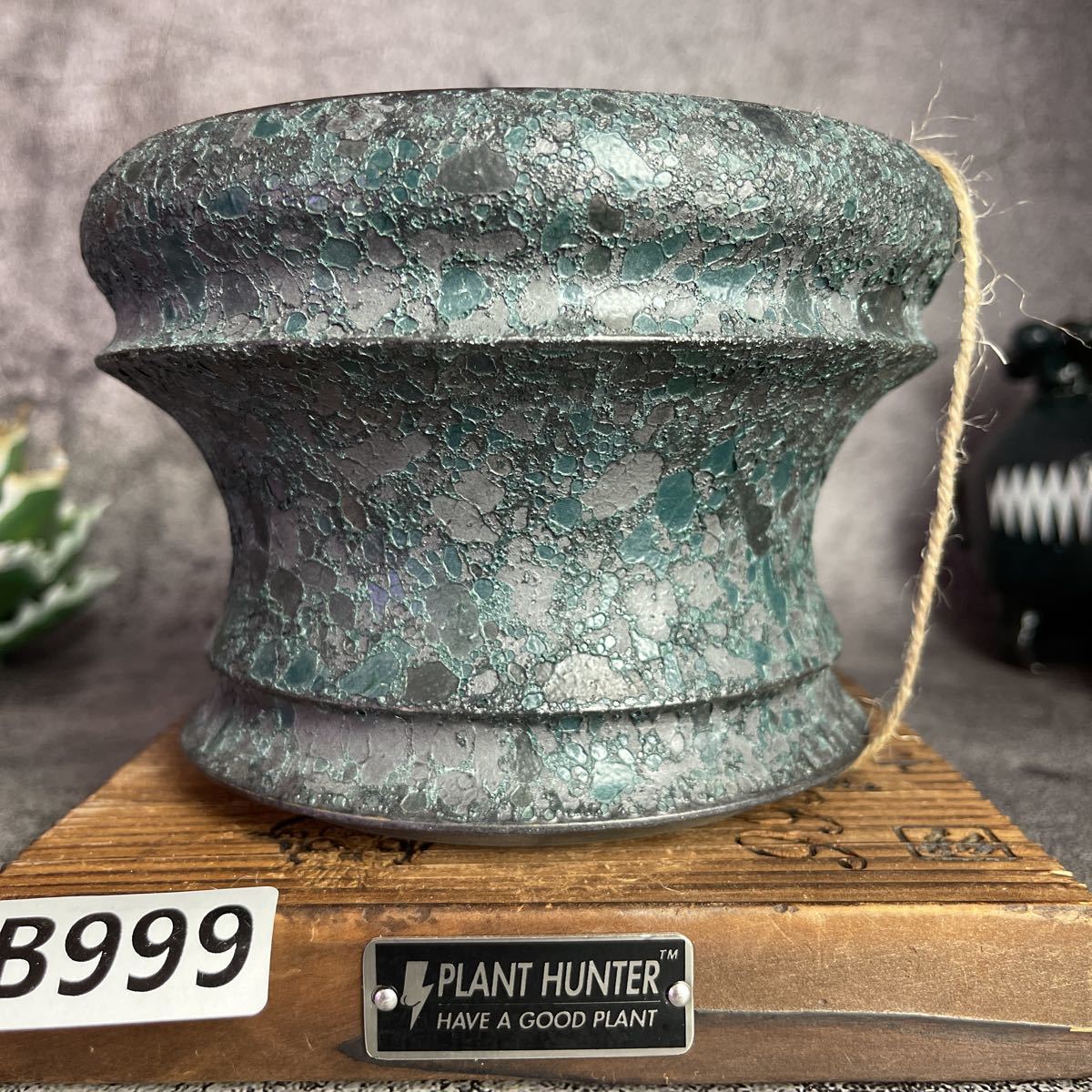 植木鉢 パキプス HAND Made 陶器 検（塊根植物 アガベ さ200 Yahoo 