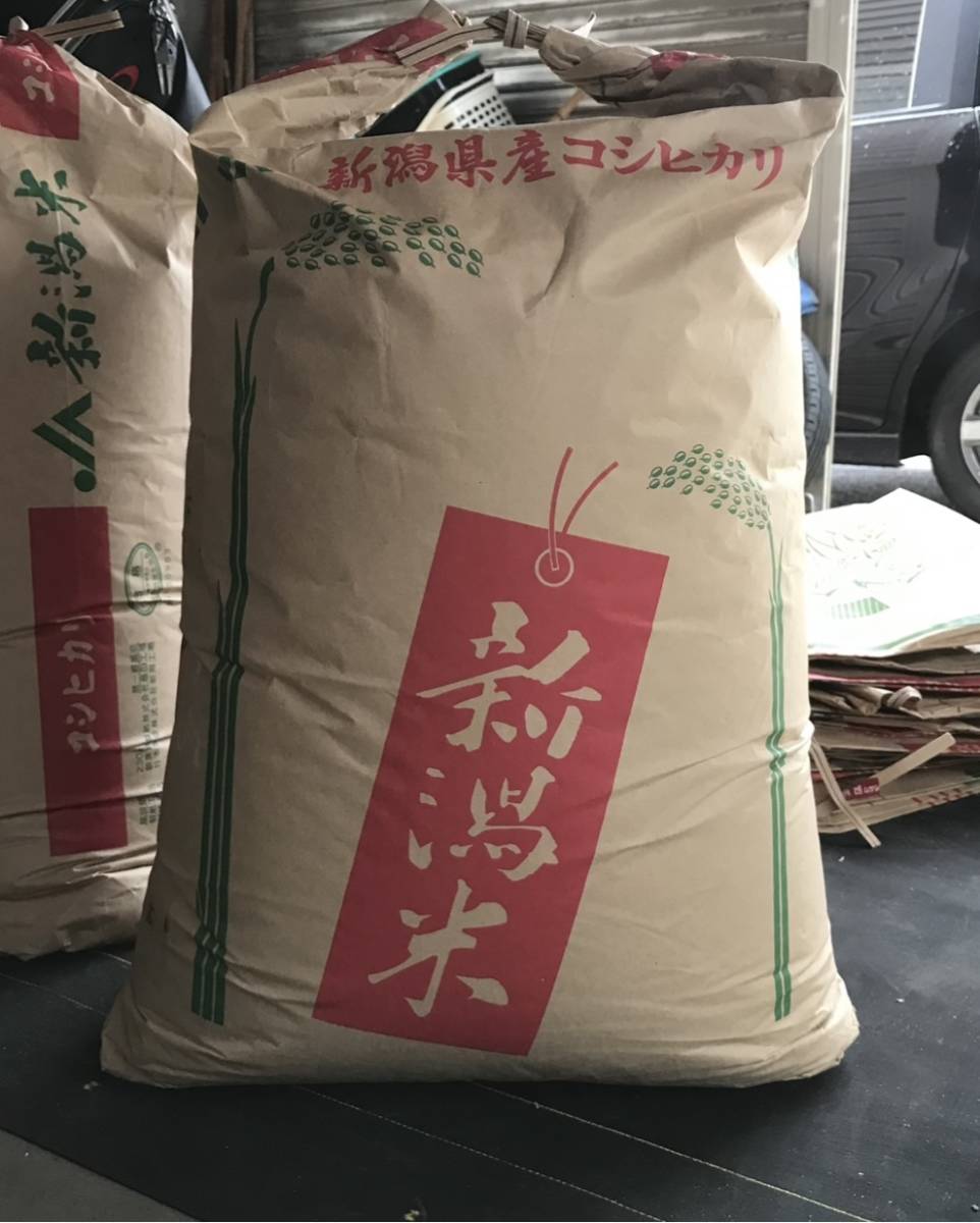 美味しい～ 新潟産 令和 4 年 ☆ コシヒカリ 30 Kg コシヒカリ 令和4年