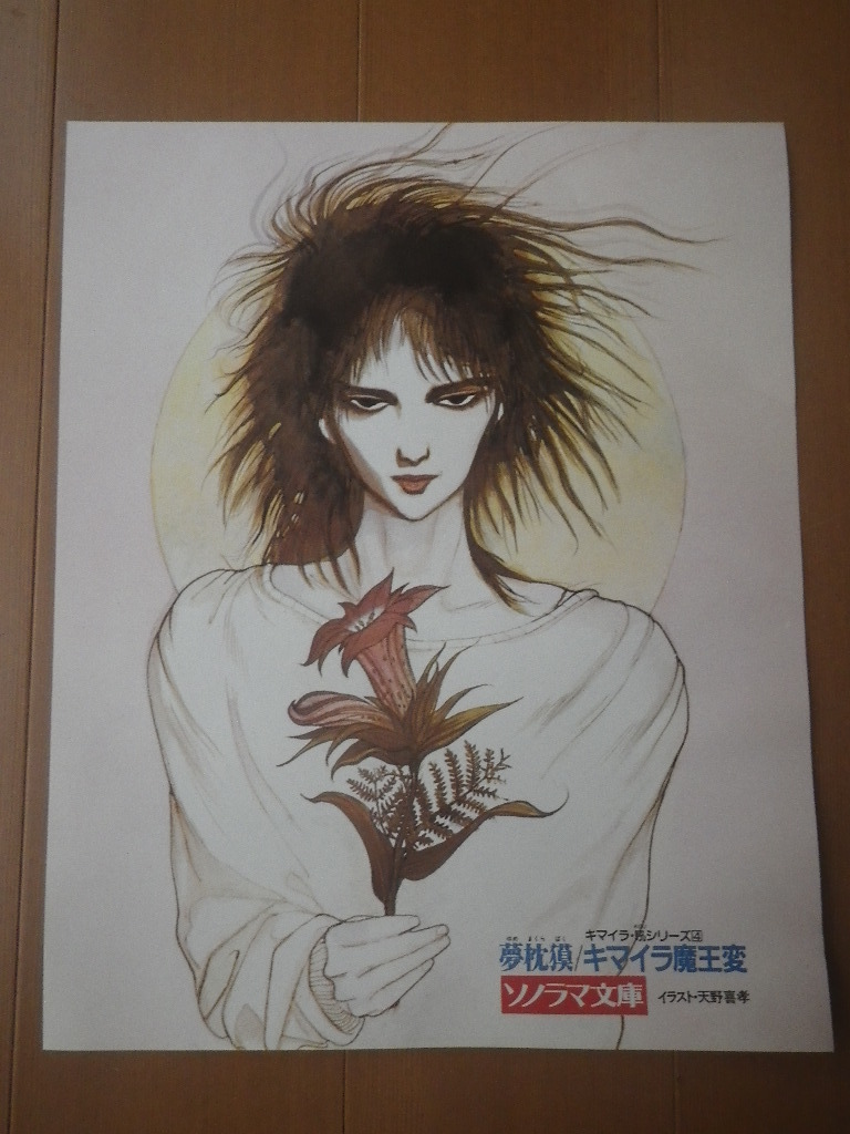 y_z pos☆当時物(80年代)□天野喜孝 ポスター 3種□吸血鬼ハンターD