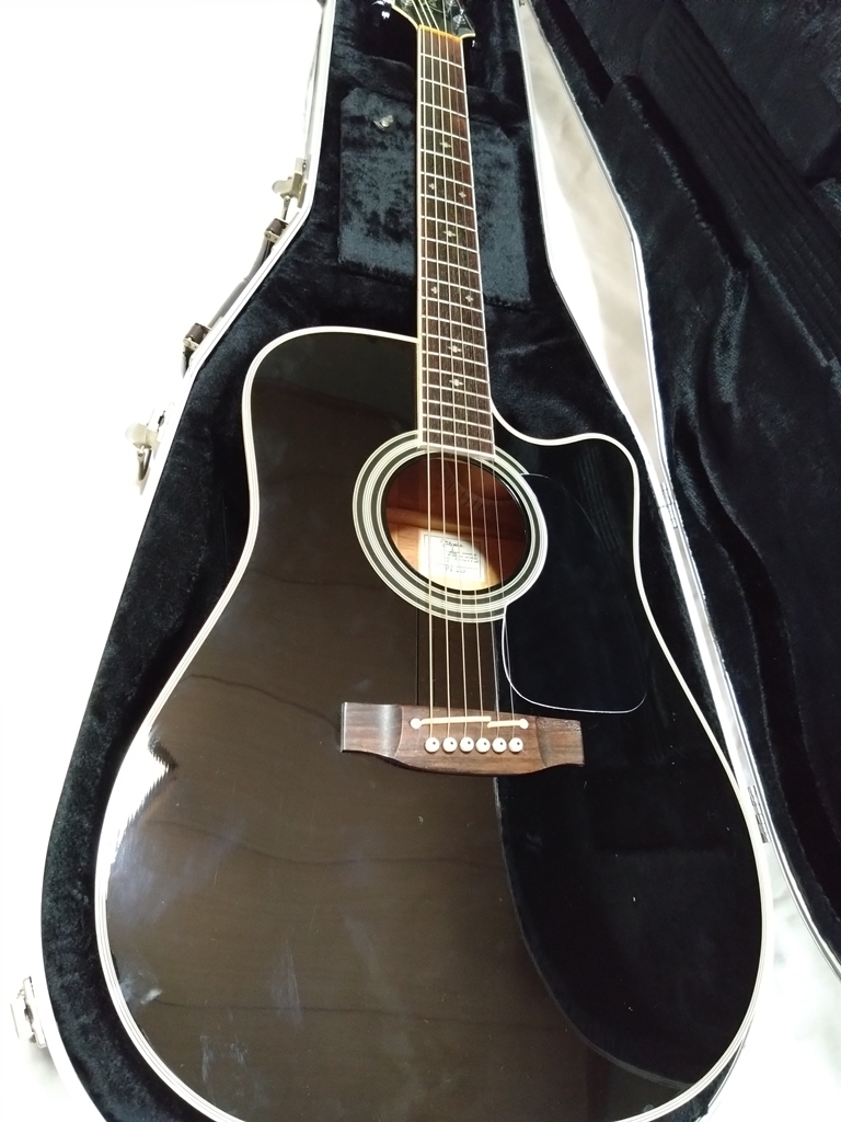 Takamine PT-209 タカミネ(タカミネ)｜売買されたオークション情報 