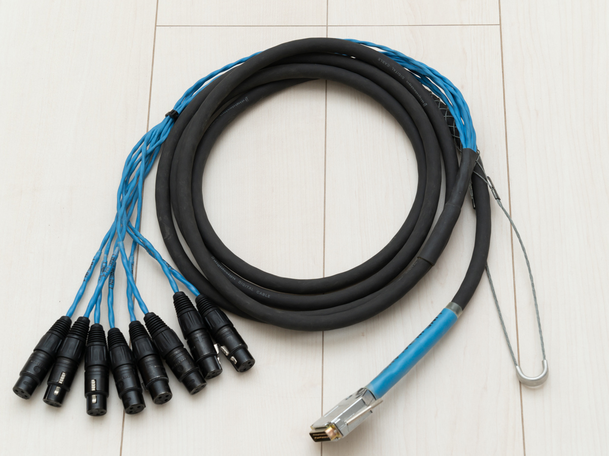 AVID DB25-XLRF DigiSnake 12'