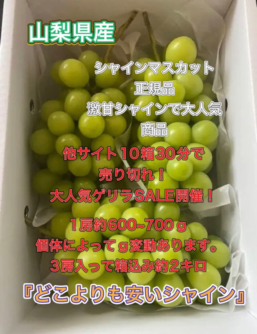 山梨県産！シャインマスカット ！激安！3房！どこよりも安いシャインマスカット！大人気！即完！予約！