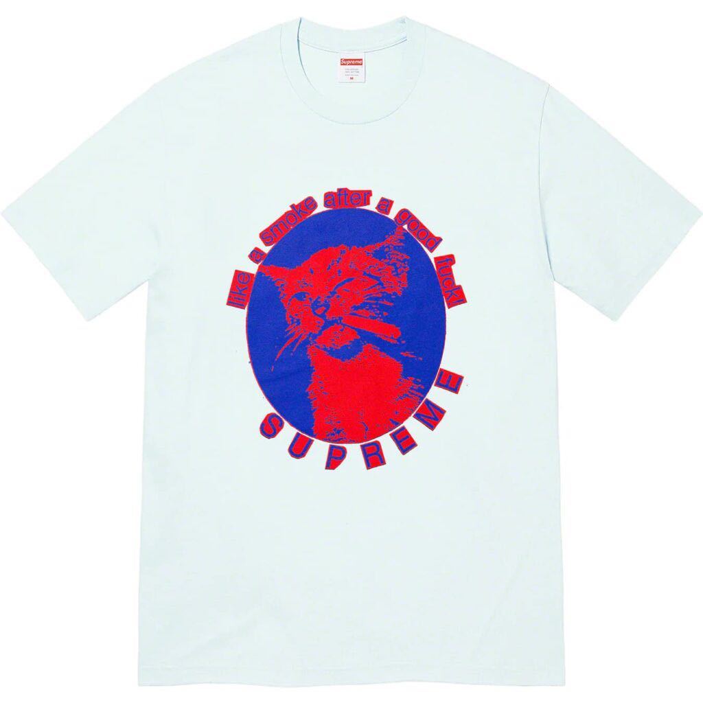 送料無料 M 水色 Supreme Smoke Tee Pale Blue 23SS 立ち上げ シュプリーム スモーク Tシャツ Box Logo ボックスロゴ ステッカー 新品