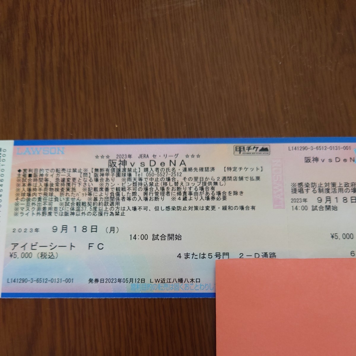 9/18(月祝) アイビーシート下段 阪神vsDeNA 甲子園球場1枚(阪神 対