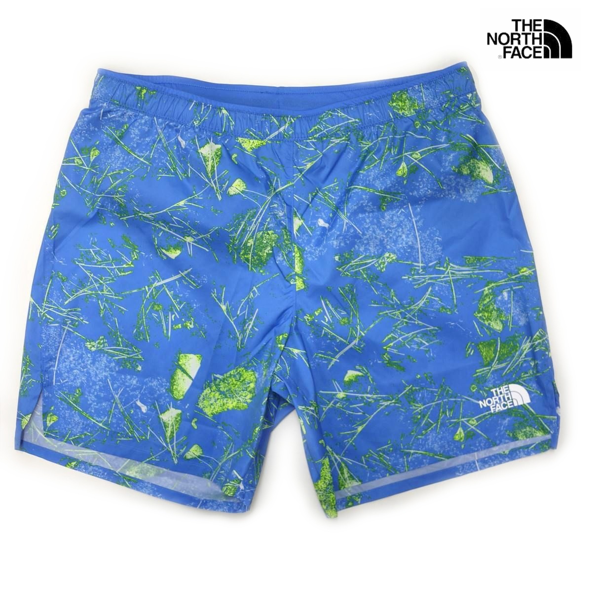 US限定新品 THE NORTH FACE ショートパンツ インナー付き (L/REG) ブルー/総柄 ノースフェイス 日本未発売/k307