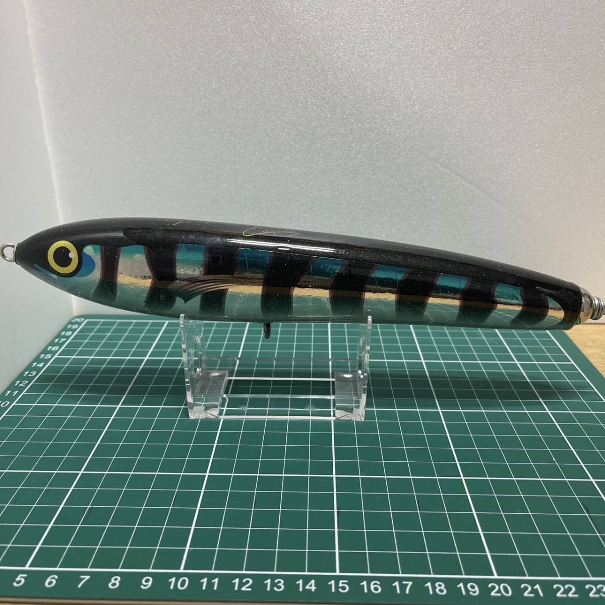 カーペンター GT-ガンマ γ160 カーペンター ガンマ 0 カクレクマノミ