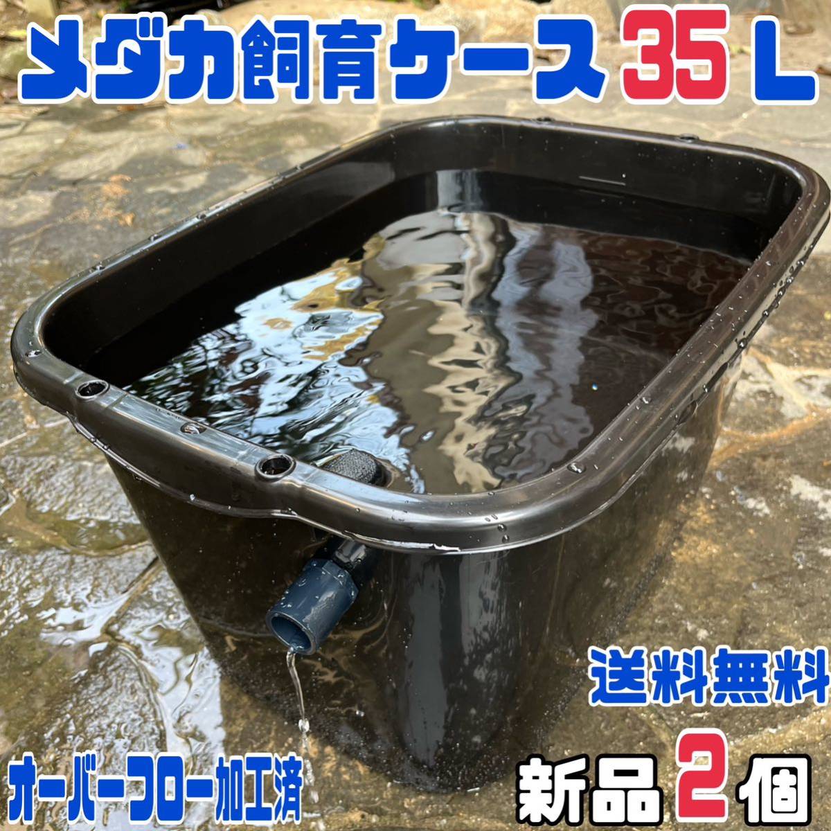 メダカ飼育ケース 75㍑x2個黒・深緑ありオーバーフロー