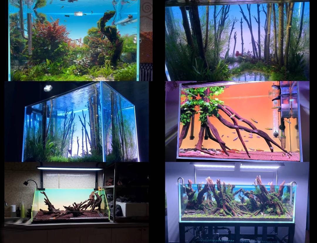 魚用品・水草 45cm水槽 WRGB バックライトスクリーン バックスクリーン LED