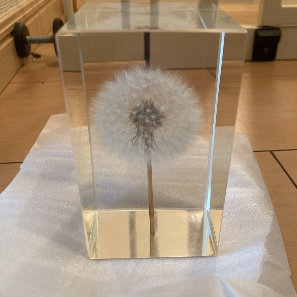 TAMPOPO 井上隆夫 tanpopo ほぼ新品｜Yahoo!フリマ（旧PayPayフリマ 