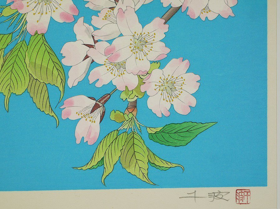 □真作保証□【中島千波】 木版画 花の瞬間より「大島桜」 アダチ版画