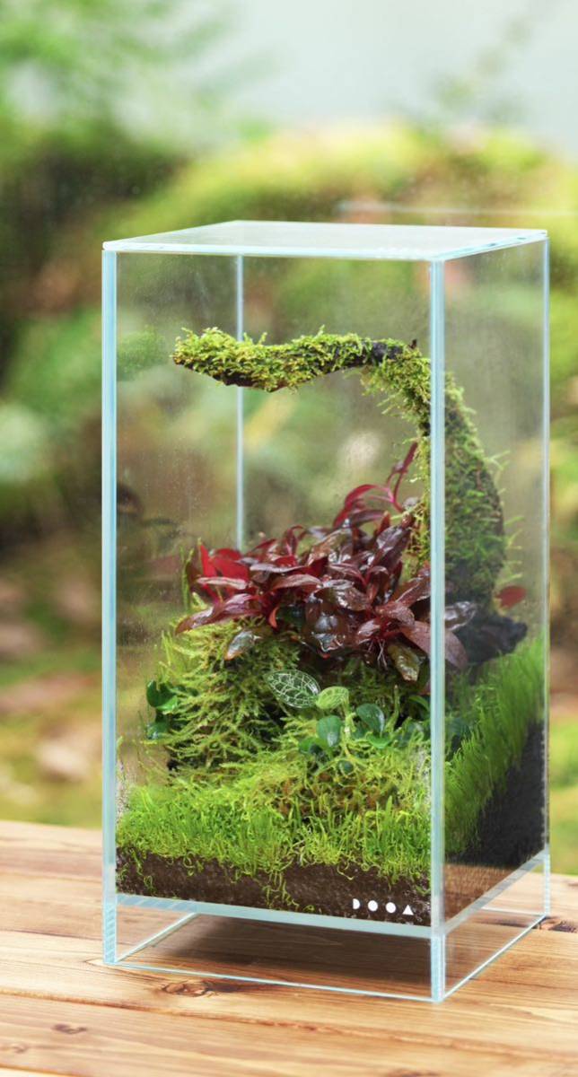 ADA DOOA ADA ネオグラス エア 15×15×30 美品 箱付き ガラス蓋