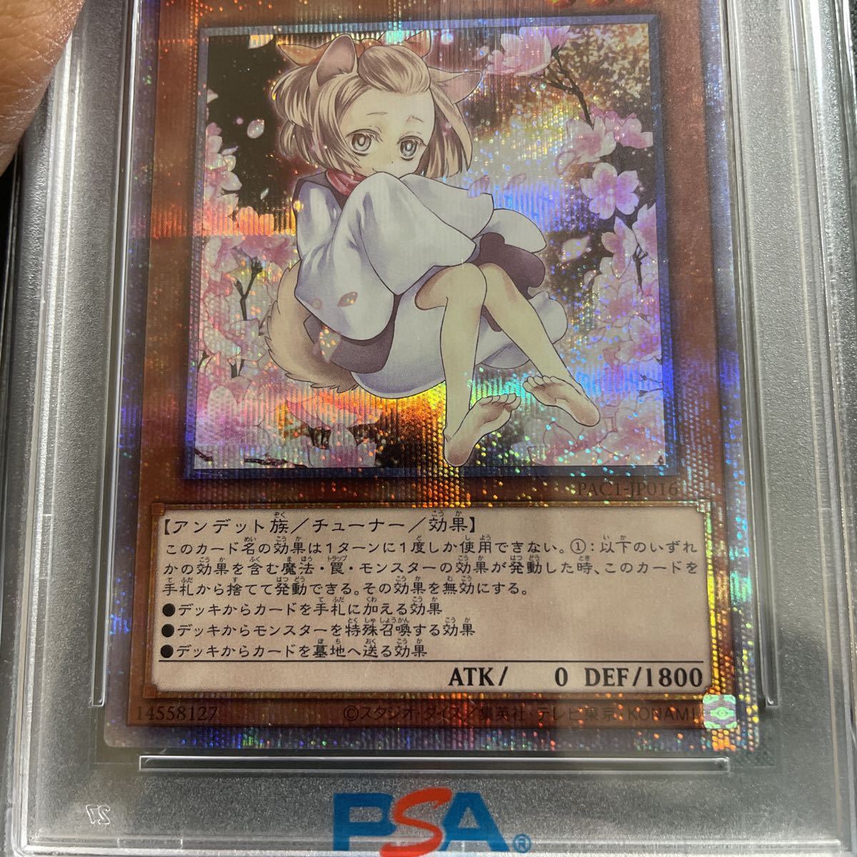 PSA10】遊戯王 灰流うらら 絵違いプリズマ 五つ目個体 | GLASFASERTURBO.DE