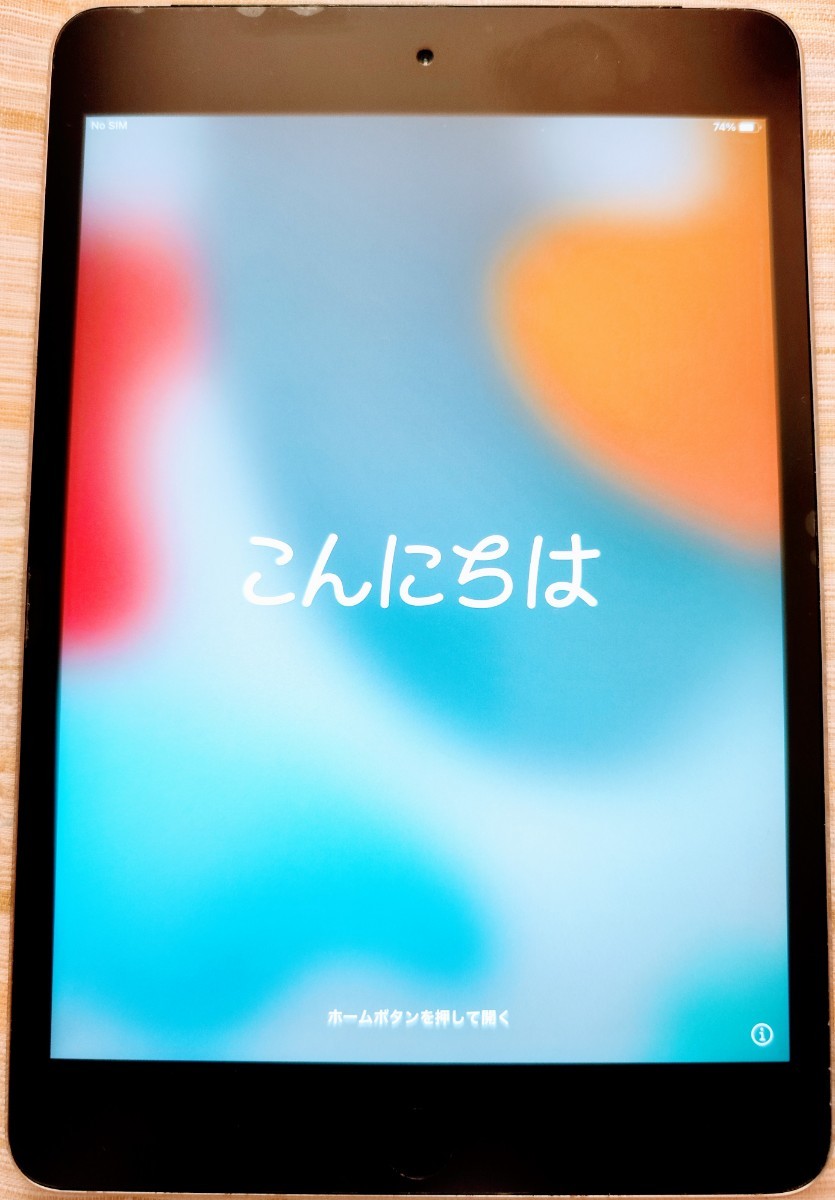 APPLE iPad mini4 16GB MK6Y2J/A WiFi+Cellular スペースグレイ iPad