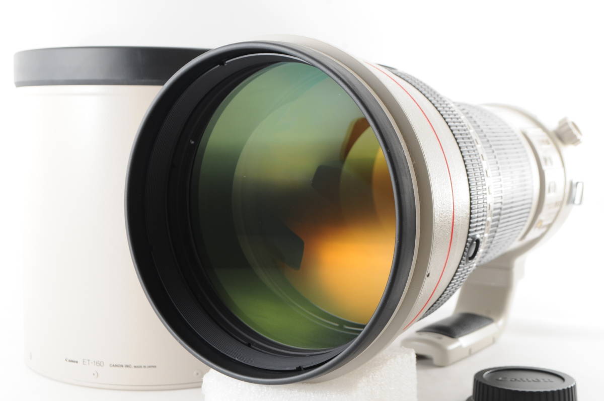 ☆極美品☆キャノン EF-S 55-250mm IS STM☆手ブレ補正付き望遠レンズ！