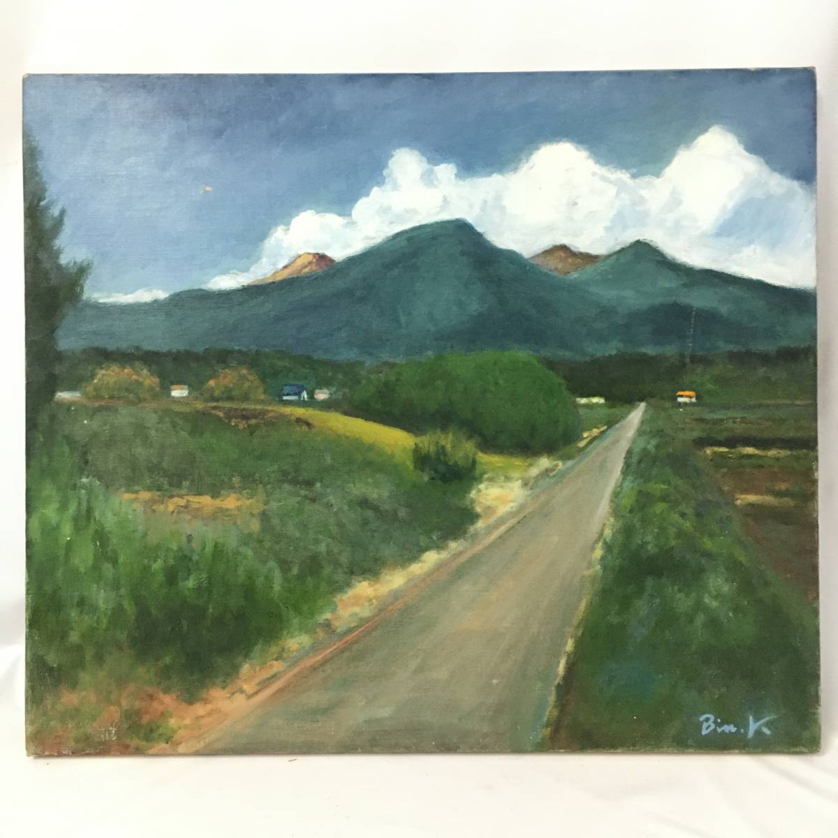 ut7/82 油絵 素人/サイン有 まとめて 10点 油彩画 F10号 静物 風景