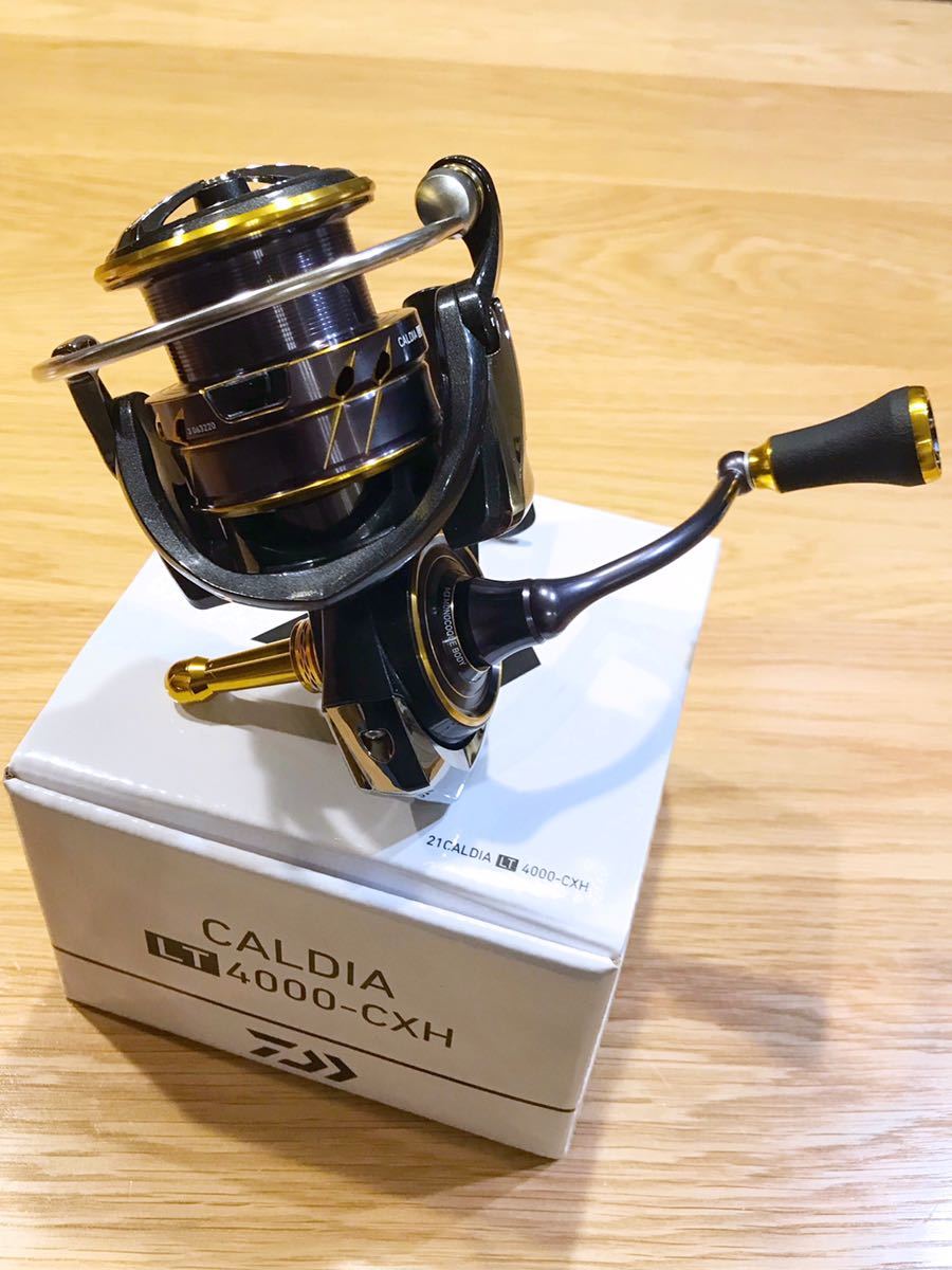 フィッシング Daiwa CALDIA LT 4000-CXH スピニングリール