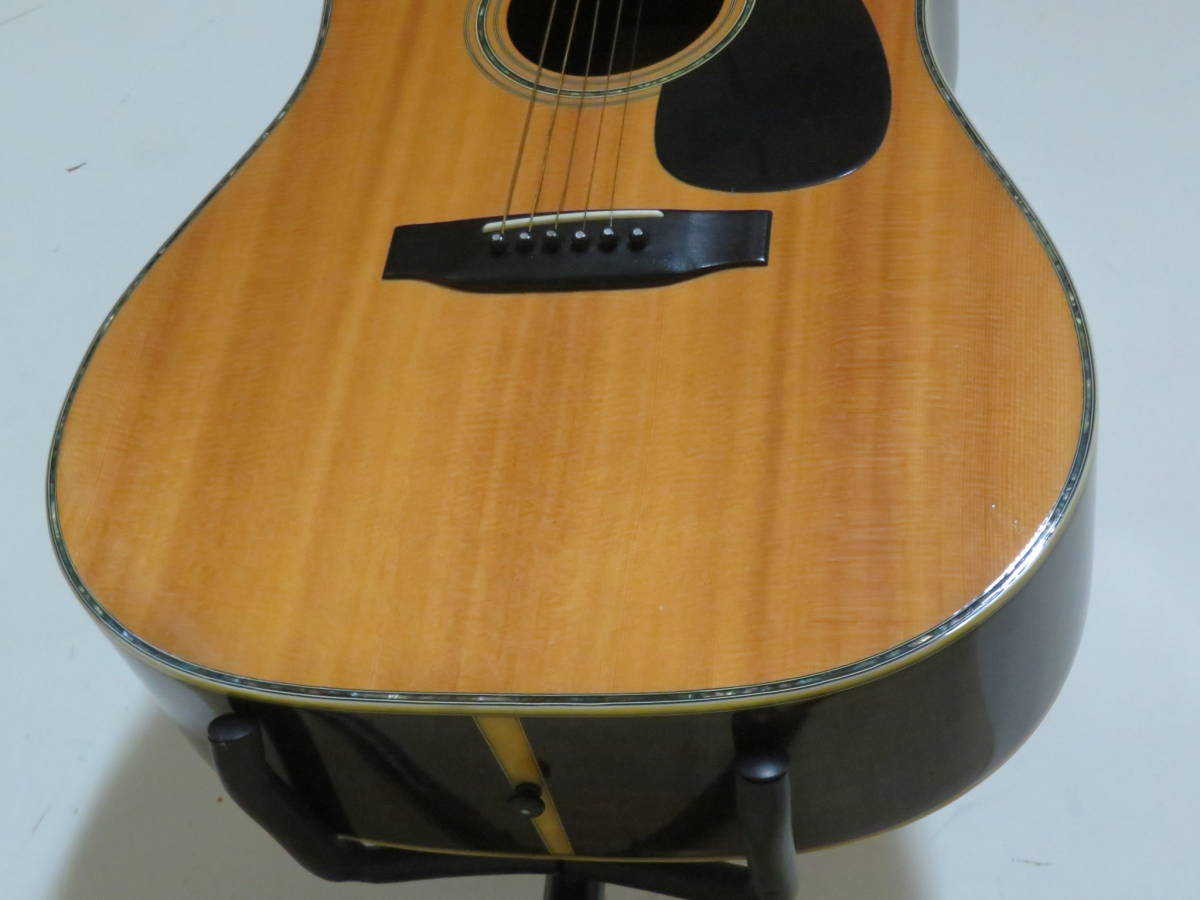 Morris モーリス TFシリーズ W-50 アコースティックギター ハード 