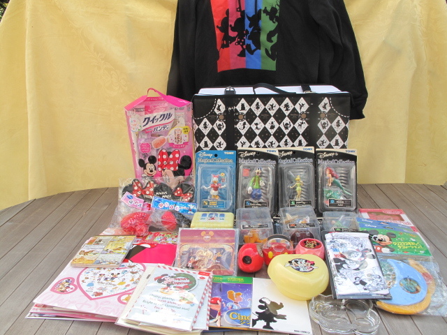 デイズニーグッズ　デイズニーマジカルコレクション　バッグ　フード付きトレイナー