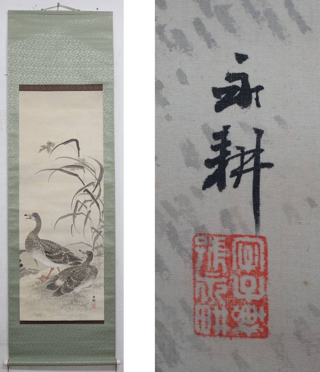 模写】a-14 狩野永耕 雁 花鳥図 山形 東根 日本画 中国画 時代掛軸  