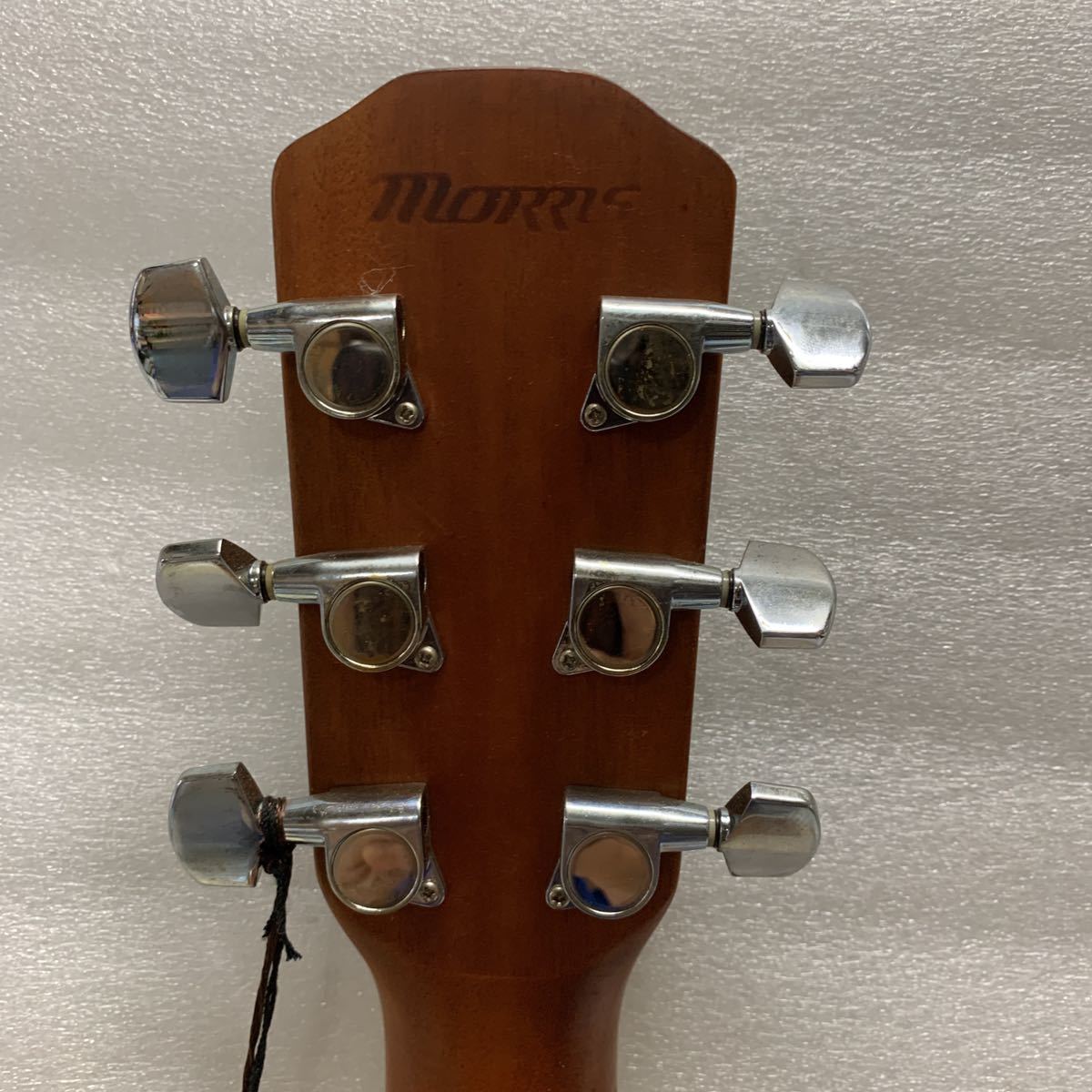 MORRIS アコースティックギター MD-528 NAT 【公式通販】