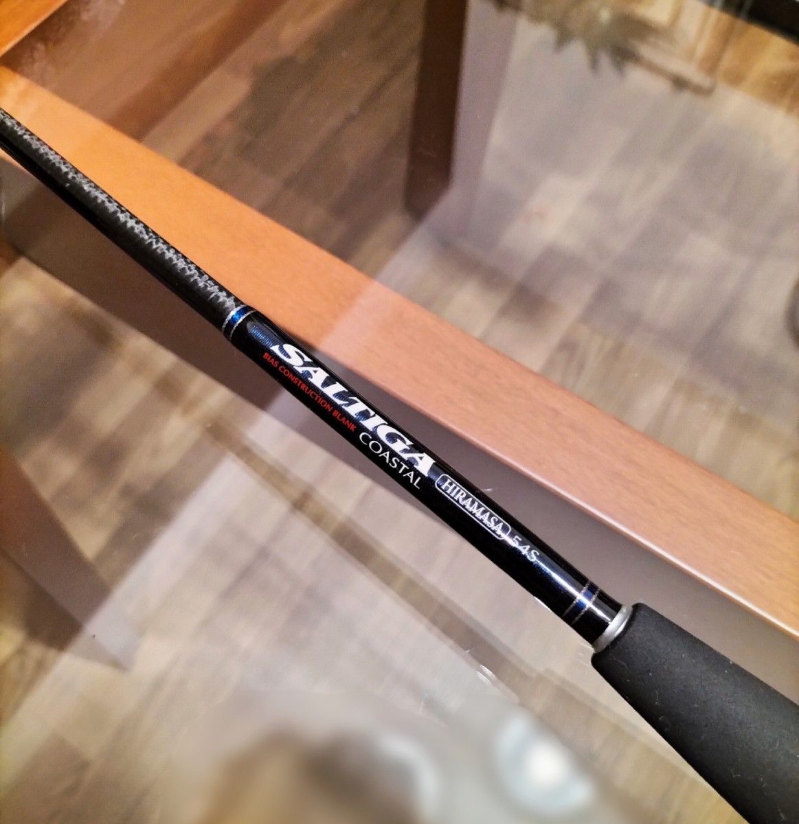フィッシング ソルティガ コースタル ヒラマサ 54S SALTIGA COASTAL 54S