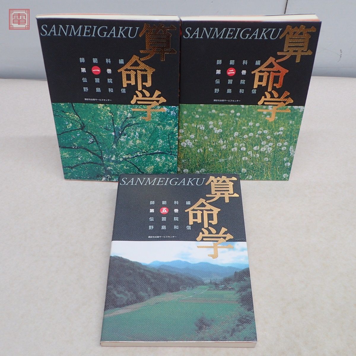 算命学　師範科編第一巻　伝習院　野島和信 算命学 野島和信 伝習院 公式通販 希少 師範科 1～8巻 基礎編、