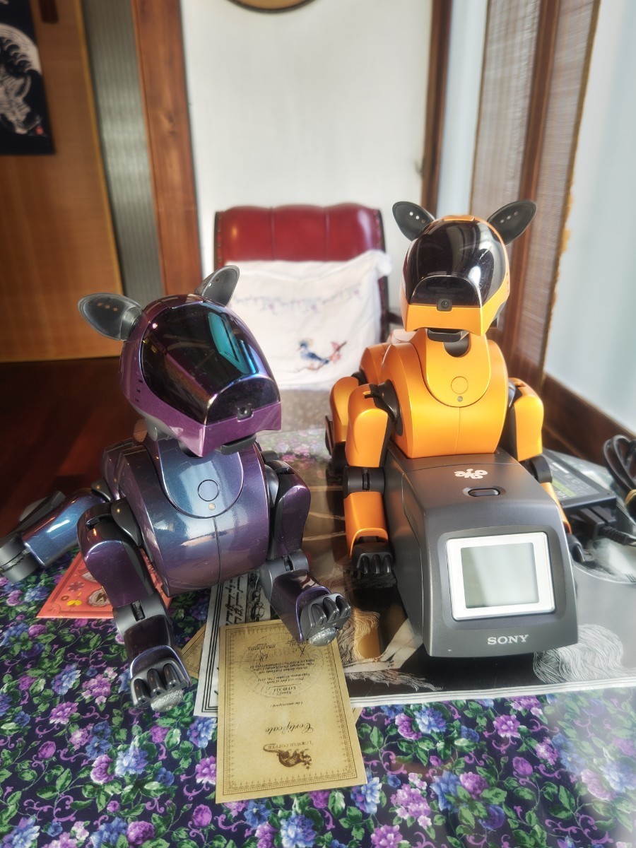 AIBO ERS-210/エナジーステーション/AIBOライフ付き 同梱不可 現状お