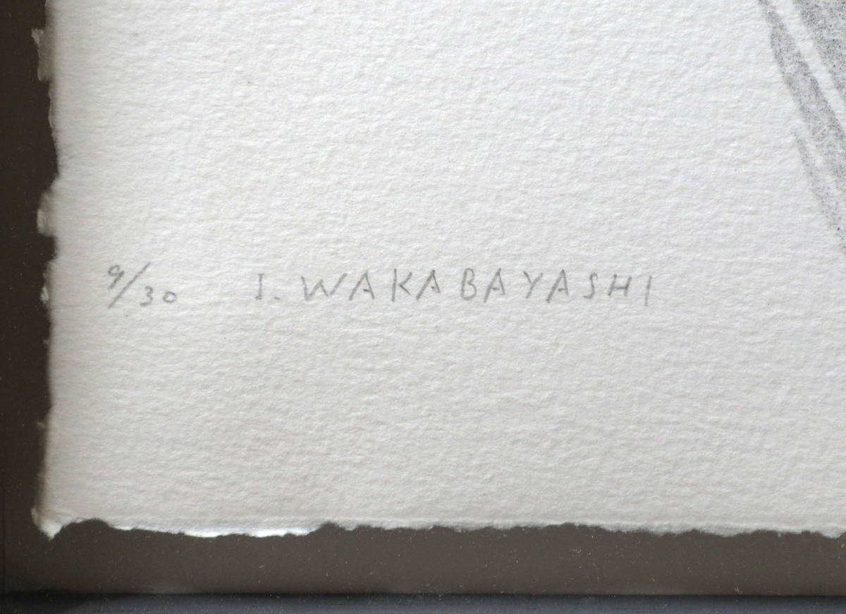 ●即決●若林奮　作品