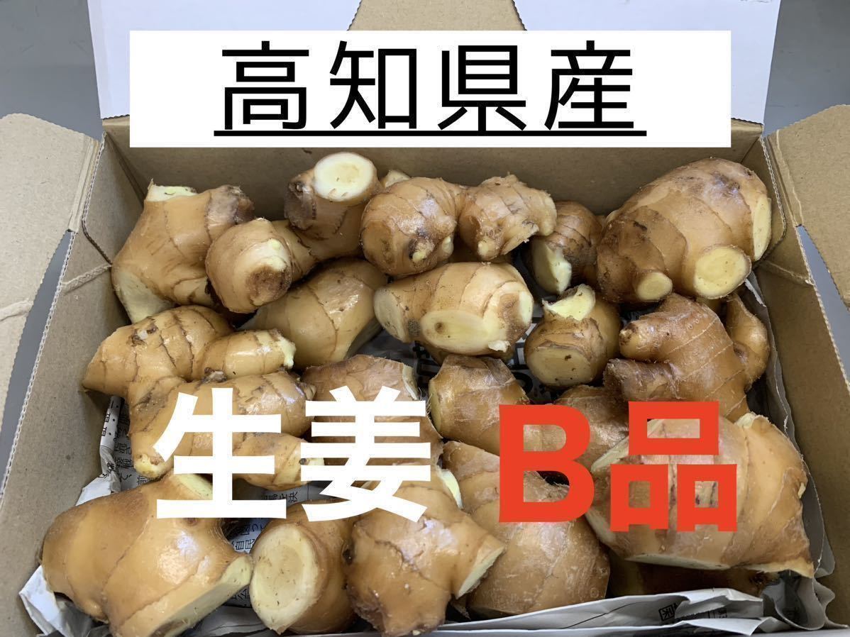 新物 青森県にんにく5Kg 2L ① | ANIMALSOUK.MA