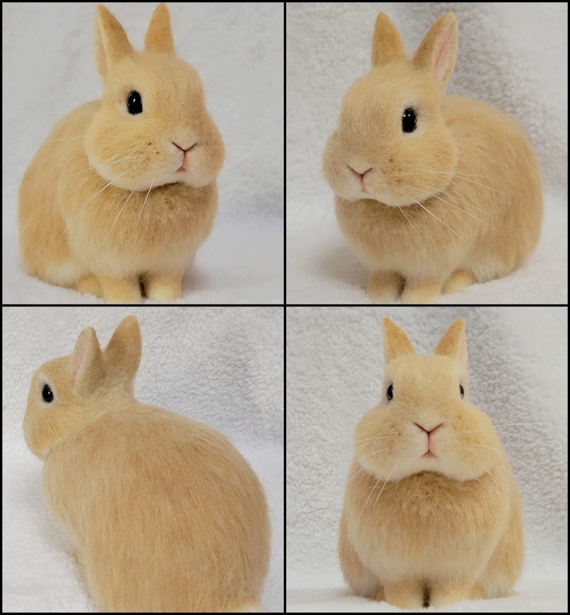 うさぎ 羊毛フェルト□□ネザーランドドワーフ オレンジ
